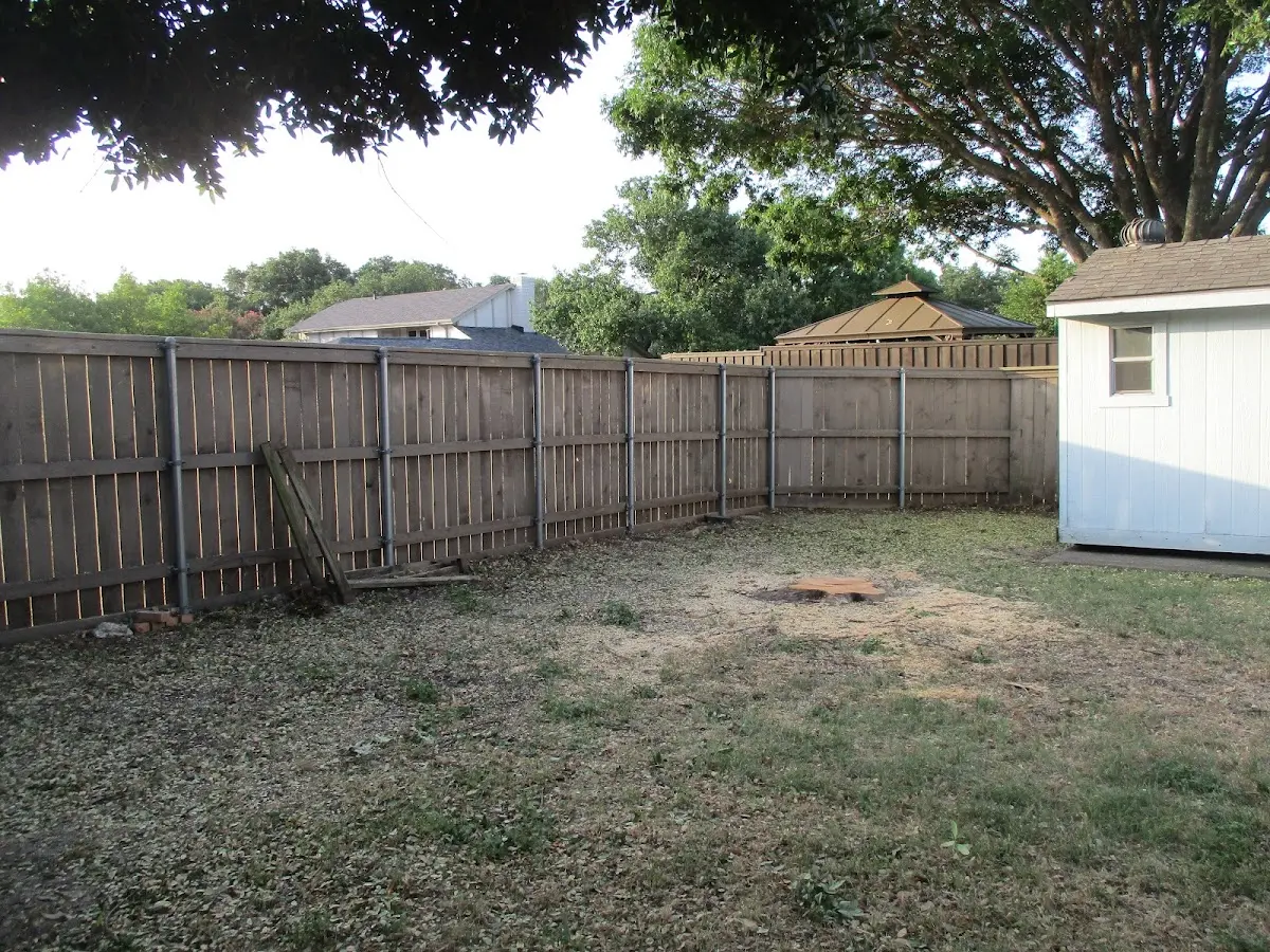 Cleared yard after professional tree removal in Brownfield