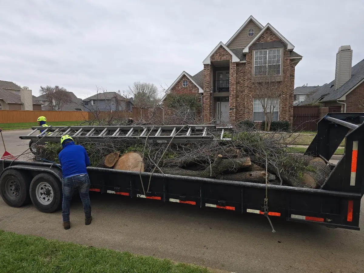 Expert Tree Fertilization with proper safety equipment in Brownfield